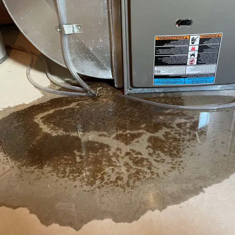 Pipe Burst and Leak Restoration in Lincoln Park, NJ