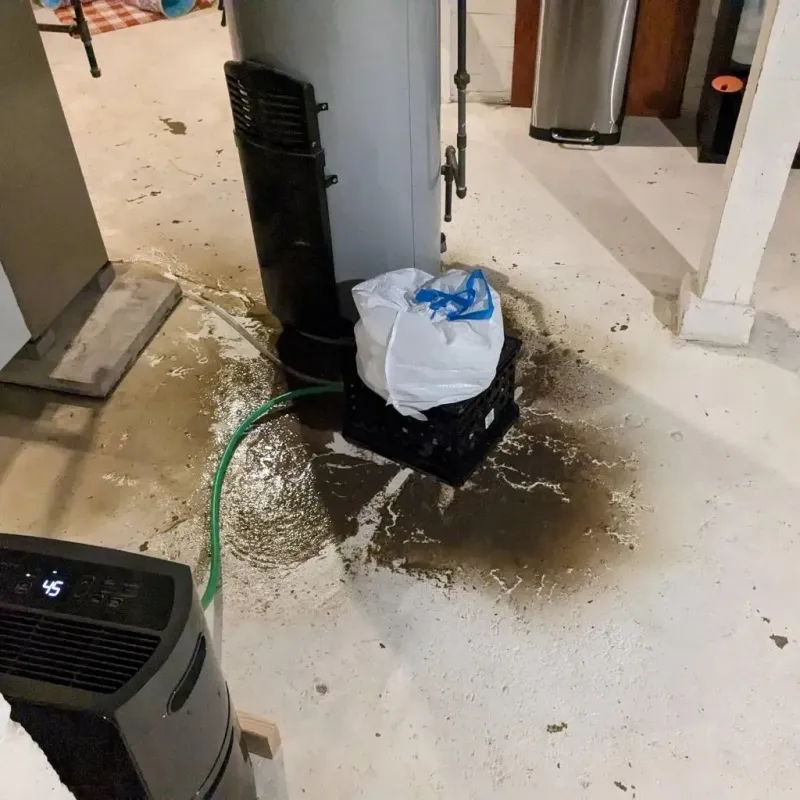 Sewage Backup Cleanup Service in Lincoln Park, NJ
